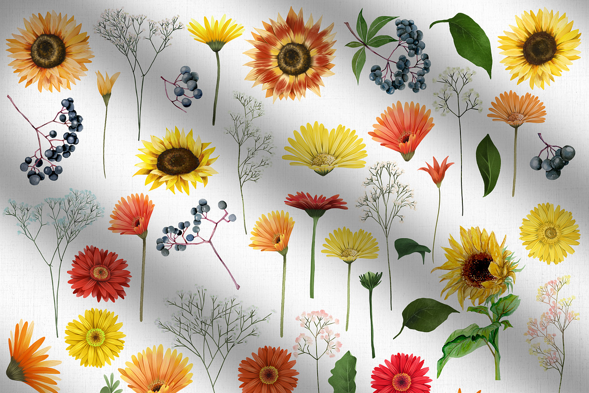 Warm flowers, an Illustration by Skliarova (Photo 2 of 12)