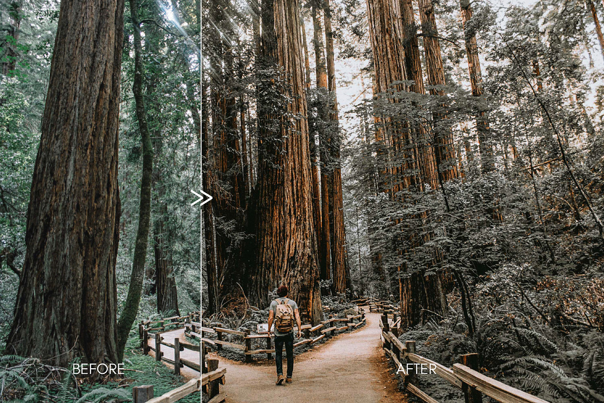 PINE Warm Moody Lightroom Presets preview 2