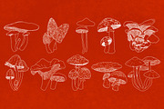 Procreate Wild Mushroom Stamps, a Brush Add-On by BrushBoy (Thumbnail 6 of 7)