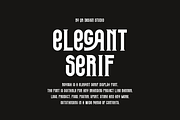 Royoga - Elegant Serif & Yoga Font, a Serif Font by QR Design Studio (Thumbnail 3 of 9)