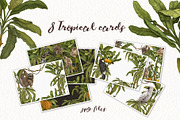 Tropical jungle animals, plants set, an Animal Illustration by Alamella (Thumbnail 4 of 8)