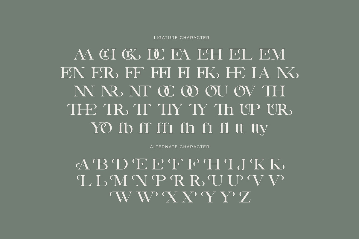 Misty Voguel - Aesthetic Serif Font, a Serif Font by Imoodev (Photo 6 of 6)