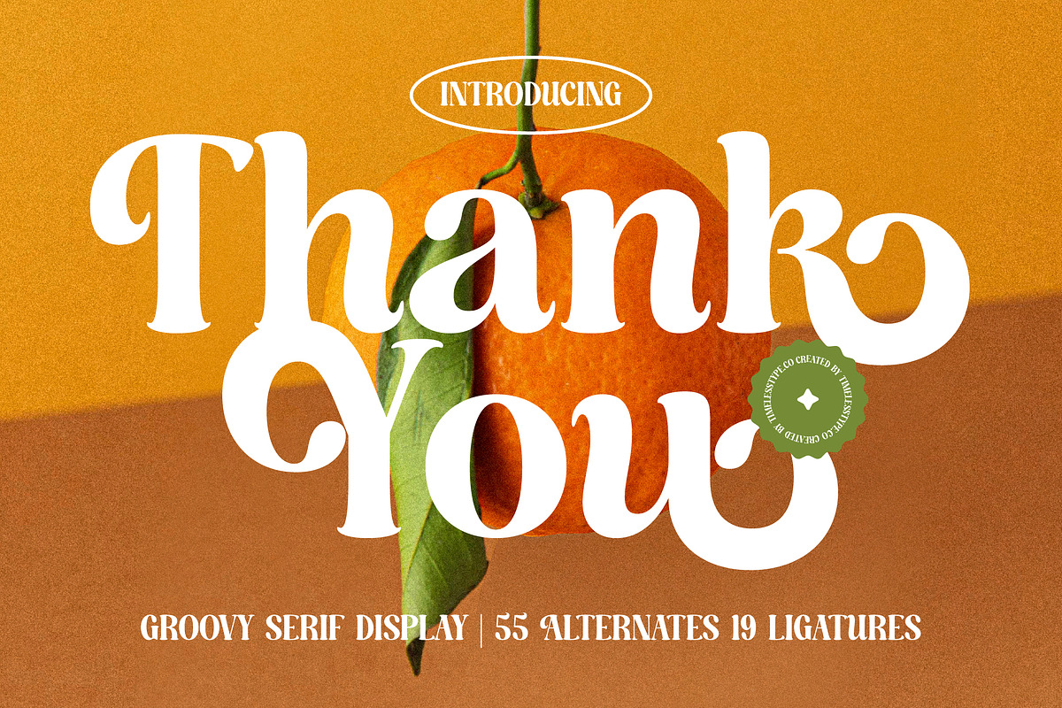 Dusty Brothe Groovy Serif Display, a Serif Font by timelesstype.co (Photo 20 of 20)