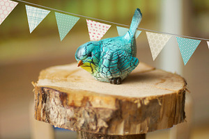 Cute bird stock photo