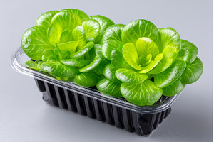Organic raw green food such as micro, a Nature Photo by ZinetroN