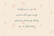 Butternut Script, a Script Font by Beck McCormick (Thumbnail 8 of 11)