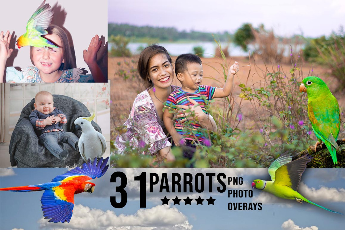 3300+ Photo Overlays Bundle+FREE Act, an Action Add-On by Jacpot007 (Photo 11 of 54)