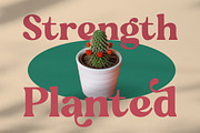 Regina Bonita Modern Retro Serif, a Serif Font by timelesstype.co (Thumbnail 2 of 20)