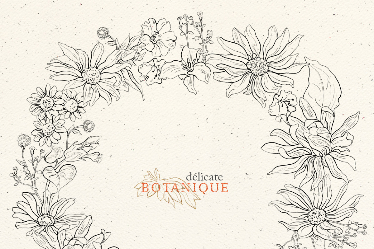Pencil flowers | delicate drawings, an Illustration by GrafikBoutique (Photo 7 of 9)