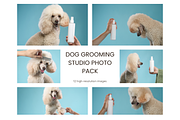 Dog Grooming Studio Photo Pack, an Animal Photo by Animalistica (Thumbnail 1 of 3)