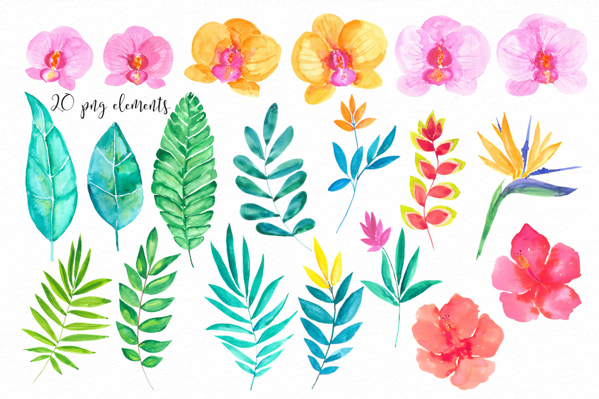 Hawaiian summer vibes RB-16, an Illustration by Charushella (Photo 4 of 5)