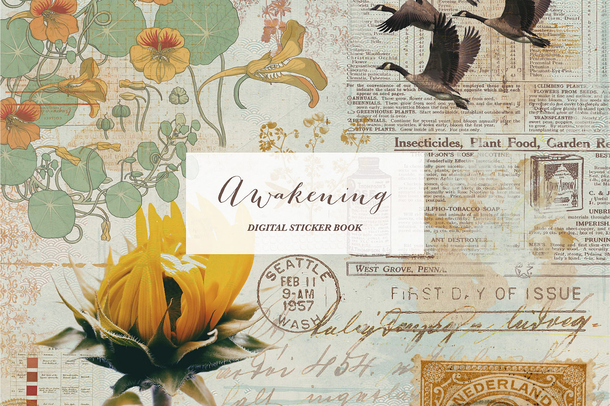 Awakening - Digital Stickers, a Decorative Illustration by LuOtero (Photo 1 of 5)