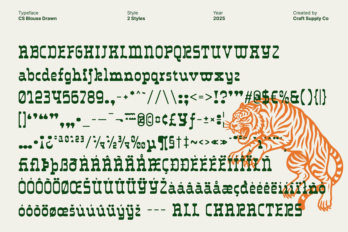 CS Blouse Drawn, a Serif Font by Craft Supply Co. (Photo 8 of 8)