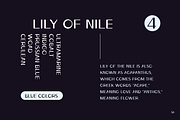 Ludeco Uppercase Modern Display Font, a Sans Serif Font by Wild Ones (Thumbnail 6 of 8)