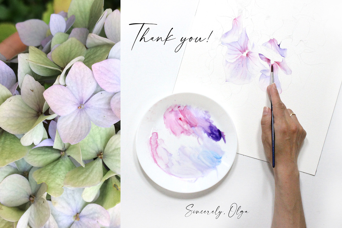 Watercolor Hydrangea Garden Set, an Illustration by Olga Koelsch (Photo 13 of 13)