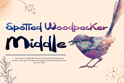 James Herriot Brush Font, a Script Font by 177Studio (Thumbnail 4 of 7)