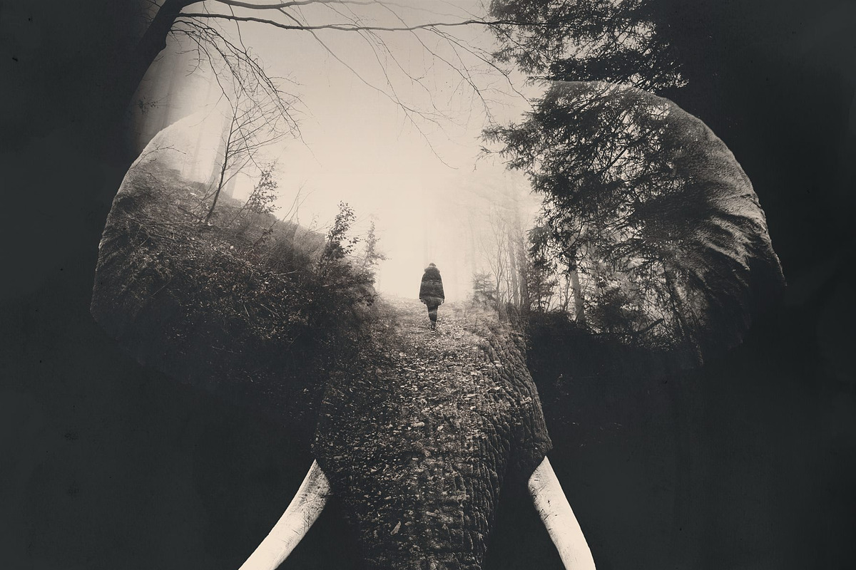 Double Exposure Photoshop Action, an Action Add-On by Sevenstyles (Photo 10 of 21)