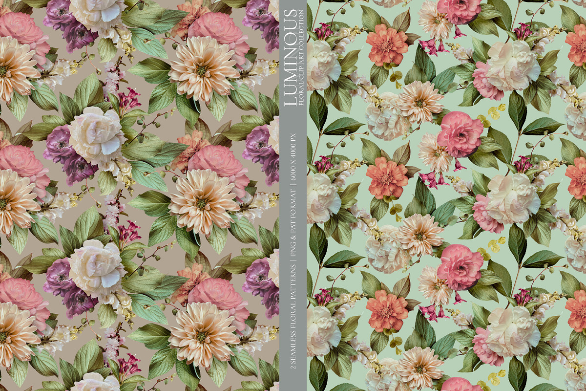 Luminous Floral Clip Art Collection, an Object Graphic by Eclectic Anthology (Photo 7 of 16)