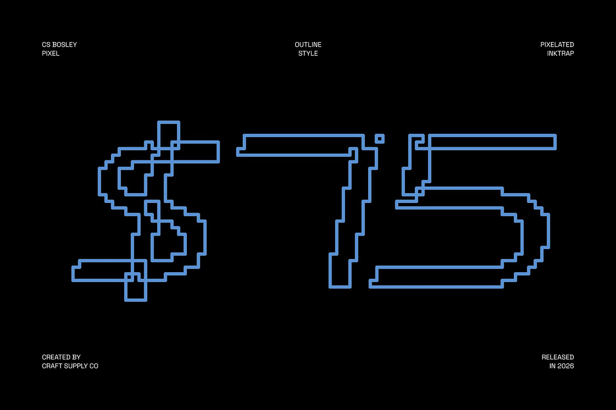 CS Bosley Pixel, a Sans Serif Font by Craft Supply Co. (Photo 6 of 8)