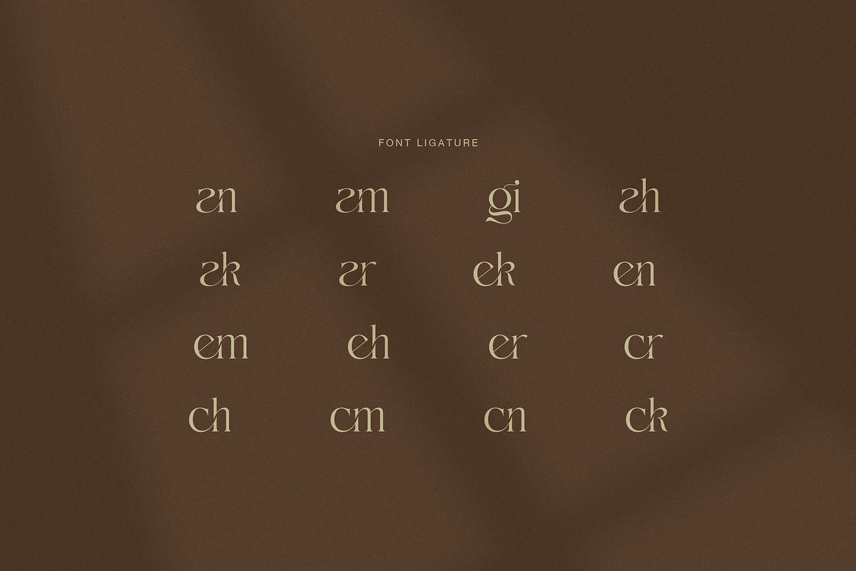 Making Modern Elegant Serif Font, a Serif Font by Graphicxell (Photo 8 of 8)