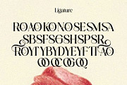 Roses Smyth Elegant Font, a Serif Font by Haps Space (Thumbnail 13 of 15)