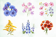Wild Flowers, Butterflies and Dragon, an Illustration by Creative Art (Thumbnail 5 of 9)