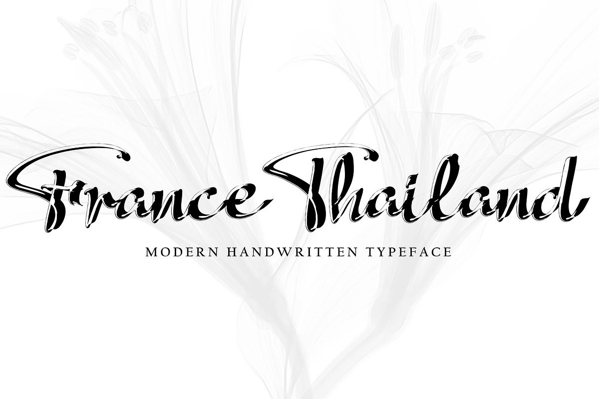 Alega, a Script Font by pineungtype (Photo 8 of 10)