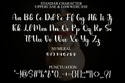 Thick Line, a Handwritten Font by FreshTypeINK (Thumbnail 8 of 8)