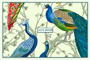 Forest Peacock Prints & Patterns, a Pattern Graphic by GND ART STUDIO (Thumbnail 8 of 8)