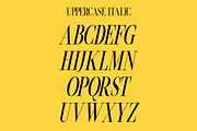 Beachwalk | Elegant Retro Serif, a Serif Font by Muntab_Art (Thumbnail 9 of 13)