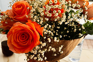 Vibrant orange rose bouquet with baby breath arrangement in elegant wrapping, a Photo by AS photostudio