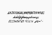 Turnaround, a Script Font by TKDoodle (Thumbnail 5 of 8)
