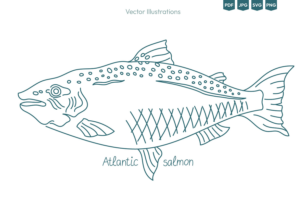 Seafood & Fish Vector Pack, an Animal Illustration by Ilia Design (Photo 4 of 10)