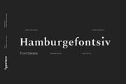 Alloy - A Sharp Serif Typeface, a Serif Font by Cassandra Cappello (Thumbnail 4 of 7)