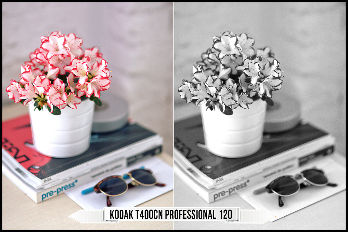 Eastman Kodak Black White Films LUTs, a Plug-in Add-On by Raztrend (Photo 10 of 30)