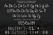 Script Wonderful, a Handwritten Font by FreshTypeINK (Thumbnail 5 of 8)