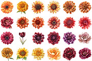 Watercolor Autumn Flowers Clipart, an Illustration by Sublimation Artist (Thumbnail 2 of 6)
