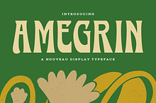 Amegrin - Vintage Display Font
