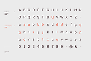 Grotesco, a Sans Serif Font by Latinotype (Thumbnail 15 of 15)