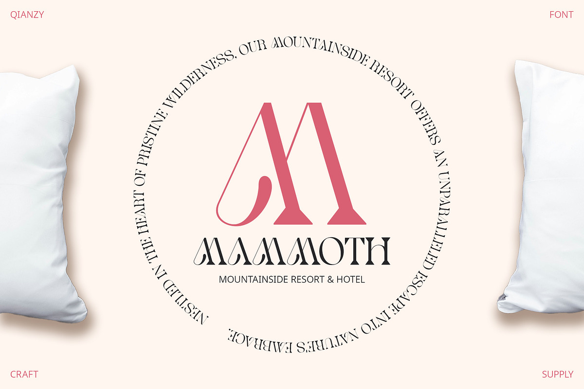 Qianzy – Elegant Font, a Serif Font by Craft Supply Co. (Photo 2 of 8)