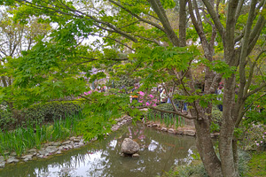 Japanese garden, botanic garden of montevideo city, uruguay, a Nature Photo by DanFLCreativo