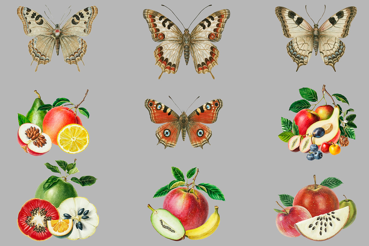 Vintage Collage Creator 99+ Elements, an Illustration by DigitalDesignAI (Photo 19 of 28)