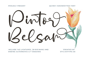 Pintor Belsam Quirky Handwritten