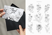 Wildflowers collection, a Decorative Illustration by Merfin (Thumbnail 9 of 11)