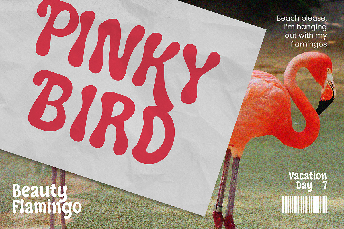 Panella - Groovy Display Font, a Script Font by AQR Studio (Photo 3 of 9)