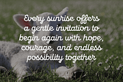 Alice - Perfectly imperfect Typeface, a Script Font by Tyasify (Thumbnail 8 of 14)