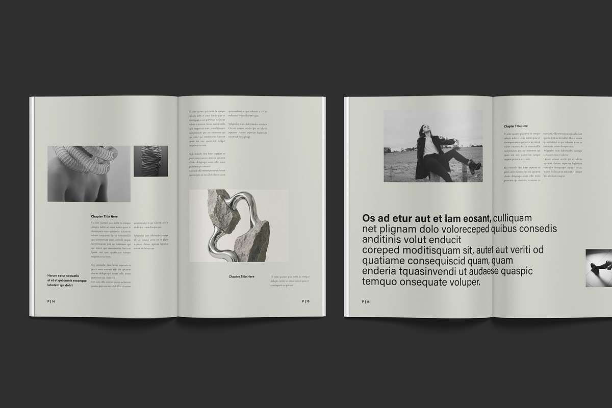 Book Title Layout Design Template, a Brochure Template by NorthPeak (Photo 7 of 16)