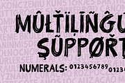 Keep This To Yourself, a Handwritten Font by pizzadudedotdk (Thumbnail 10 of 10)