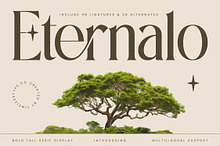Eternalo Bold Luxury Modern Serif