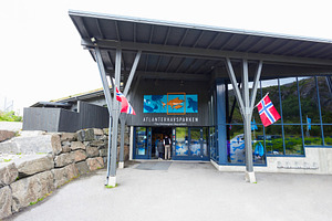 Alesund Aquarium in Norway, a Photo by saiko3p